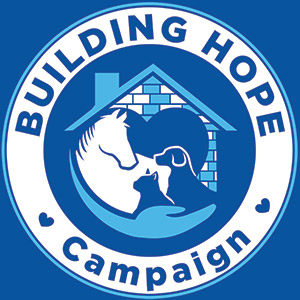 building hope capital campaign logo