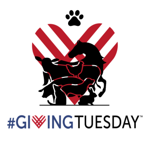 Giving Tuesday FRHS