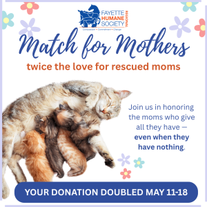 Match for Mothers_Social Graphics