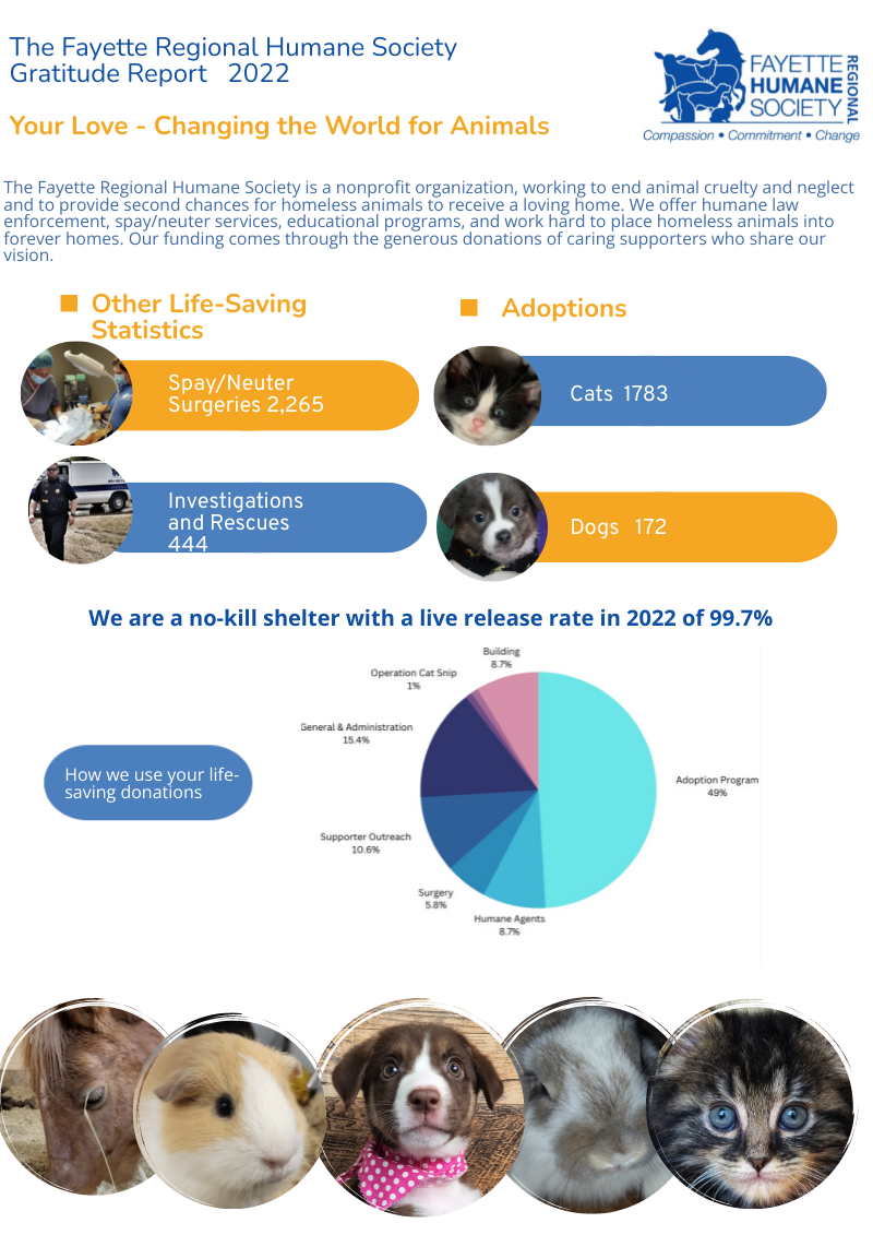 Annual report infographic